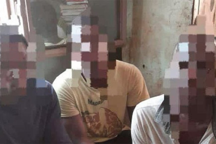 Koutiala : Des voleurs d’aliment pour bétail interpellés