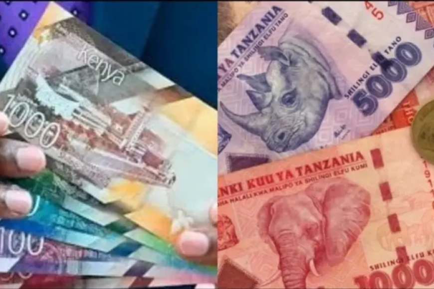 Voici les 10 pays africains avec les plus gros budgets en 2025