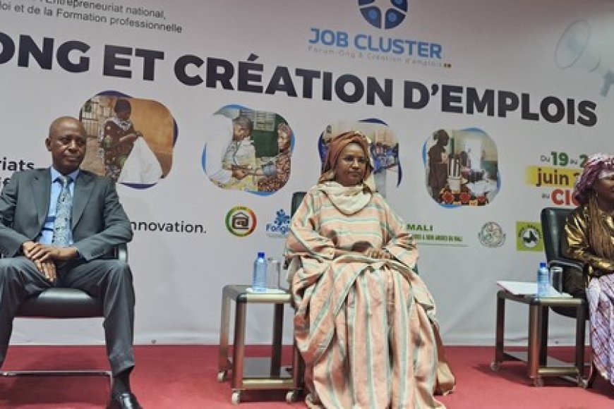1re édition de job cluster ONG et création d'emplois : Pour un rendez d'emplois durables !