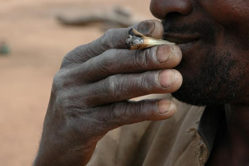 Inquiétante montée de la consommation de drogue