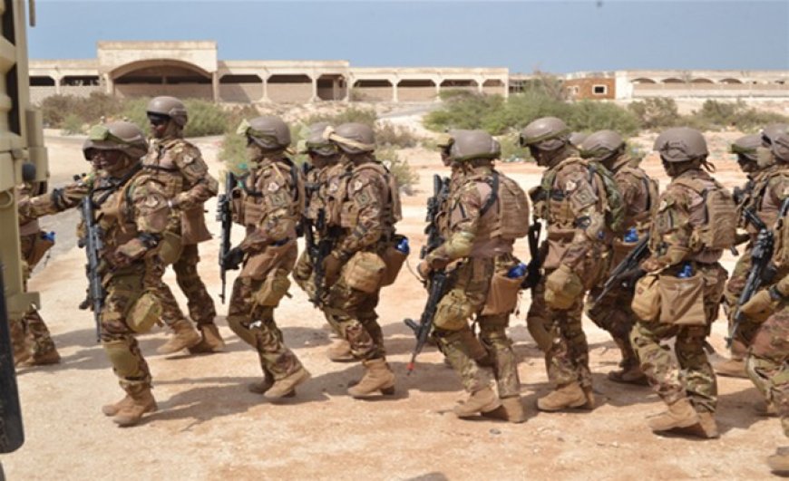 Mali :  les zones de Boulkessi et Mondoro désormais placées sous haute surveillance après deux attaques terroristes successives