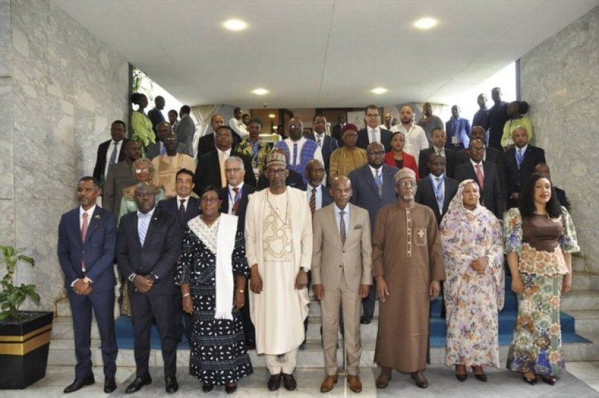 Lomé plaide pour une diplomatie africaine audacieuse