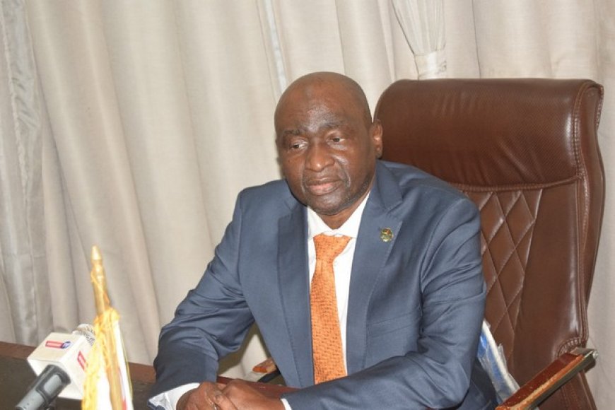 Pour son dévouement à la cause de la nation : Habib Sissoko honoré par IDS-Afrique Consulting