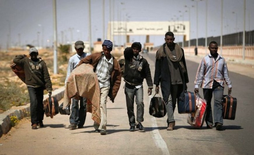 Politique : La migration, une opportunité à saisir