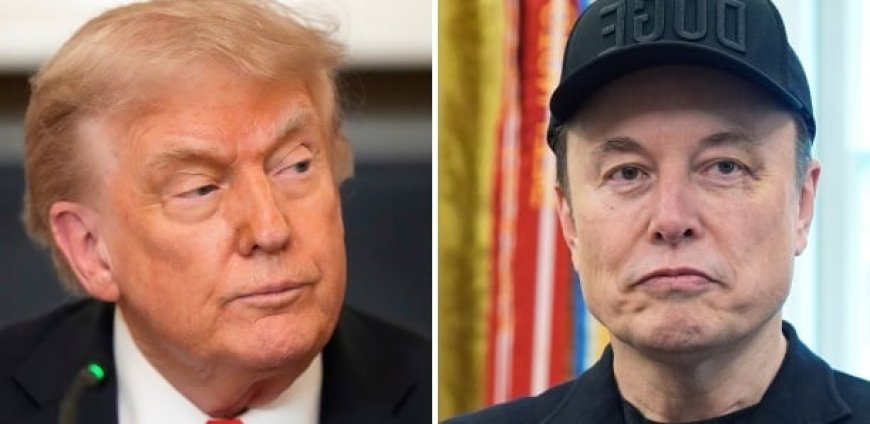 Attaques contre Trump : La reculade d'Elon Musk