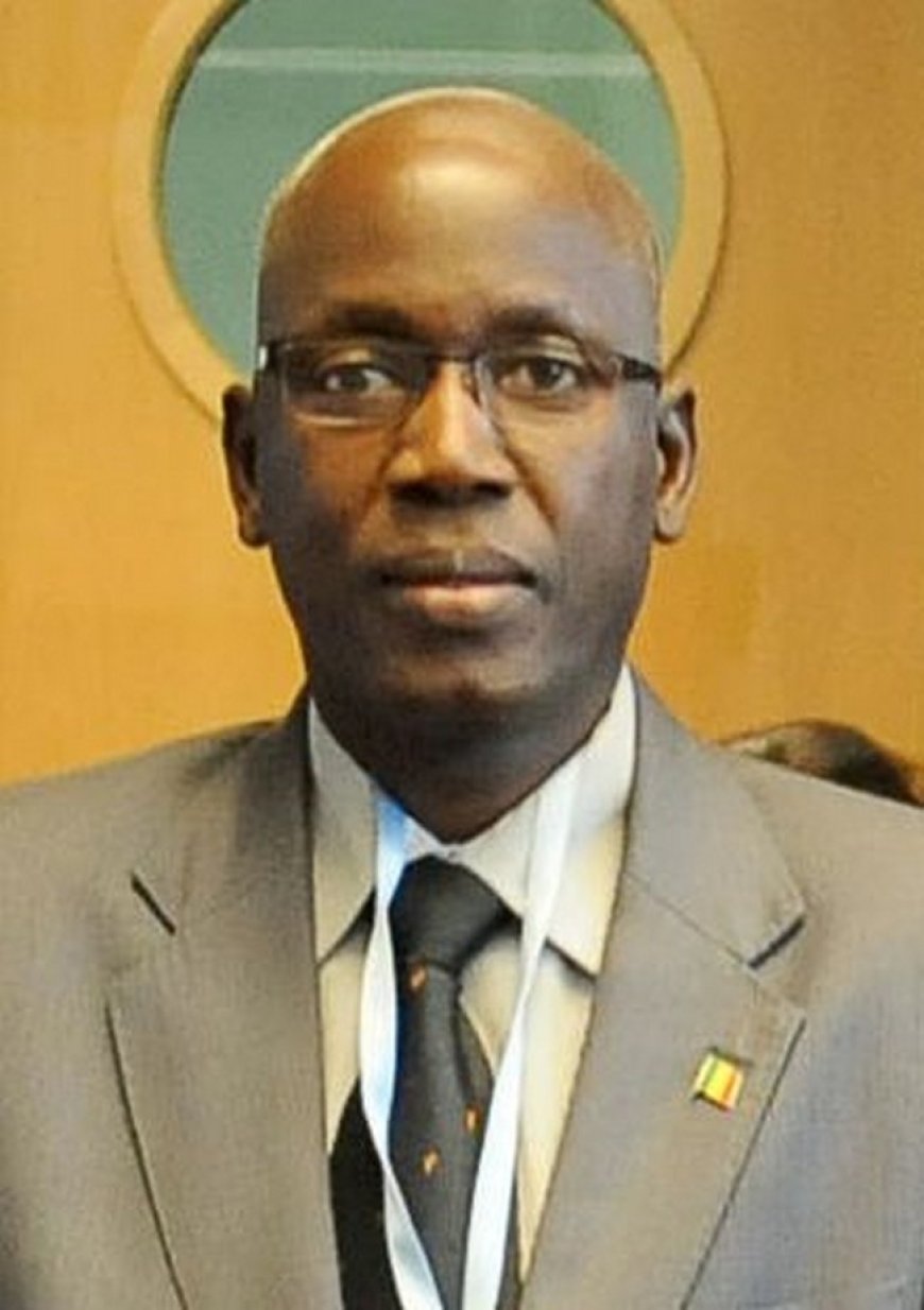 Mali : Qui est l’expert-comptable Soumana Makadji nommé administrateur provisoire du complexe minier Loulo-Gounkoto ?