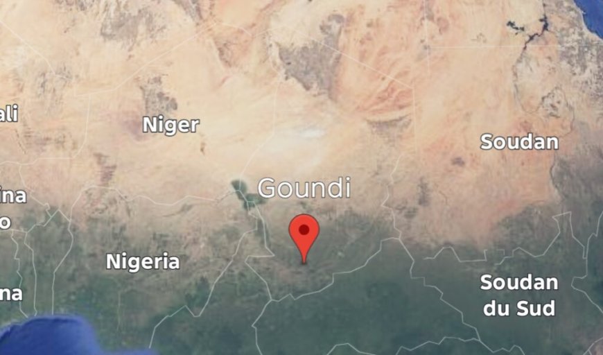 Tchad : un père tue ses 5 enfants avant de se suicider à Goundi