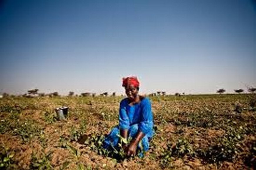 Sahel : le changement climatique comme facteur aggravant des conflits