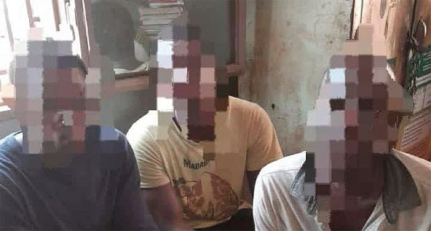 Koutiala : Des voleurs d’aliment pour bétail interpellés