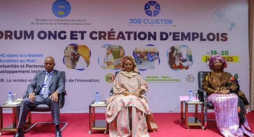 Forum Job Cluster : Les ONG et la création d’emplois au Mali