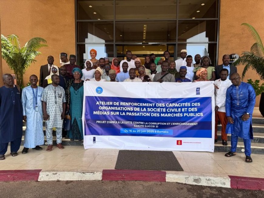 Passation des marchés publics au Mali : Le Pnud renforce les capacités des OSC et des médias