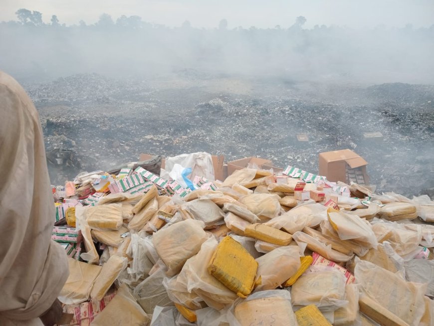 Drogues, médicaments illicites : l’OCS détruit 128 tonnes de substances dangereuses au Mali