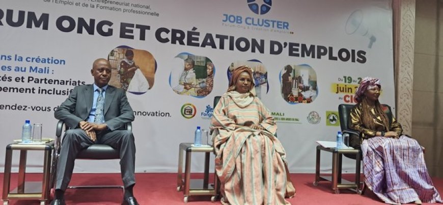 1re édition de job cluster ONG et création d'emplois : Pour un rendez d'emplois durables !