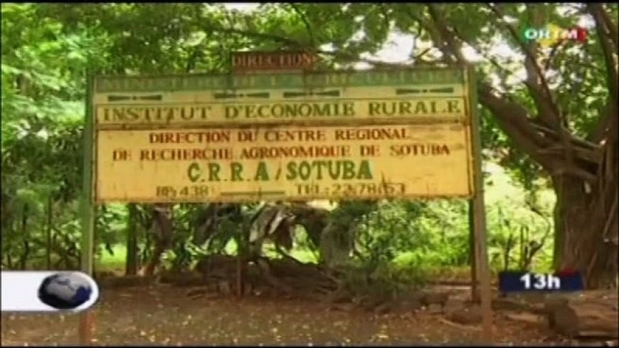 Institut d’Économie et Rurale: Le départ massif à la retraite des chercheurs inquiète !