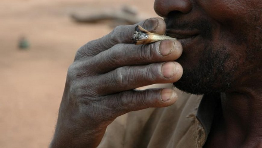 Inquiétante montée de la consommation de drogue