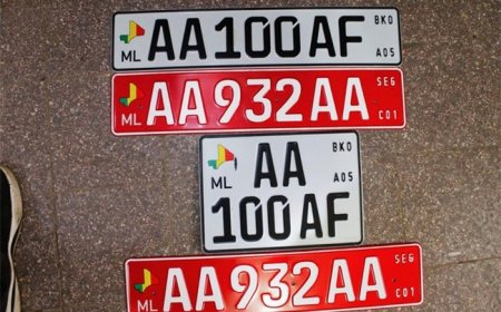 Affaire des 19 cars de transport saisis par la douane : La justice saisie