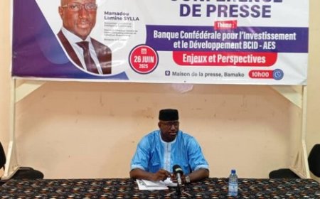 BCID-AES :  Des avis d’experts