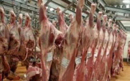 Abattoir frigorifique de Sabalibougou-Kourani :  Bisbilles entre le directeur et un vétérinaire