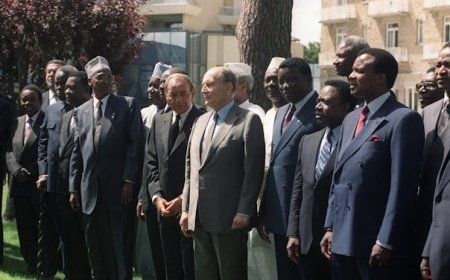 François Mitterrand à l’origine du passé post colonial de la France