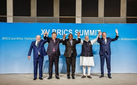 BRIC/17ᵉsommet : les chefs d’État africains en force à Rio