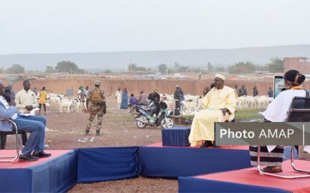 Le Ministre Ba dans ‘’Mali Kura Taa sira’’ : « L’élevage et la pêche se portent bien dans notre pays»