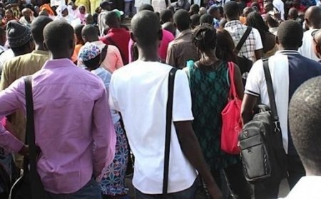 Enseignement supérieur :  Le SNESUP en grève de 144 heures face à l'indifférence du gouvernement