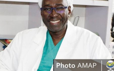 Dr Djédi Kaba Diakité : « l'assistance médicale à la procréation, du pain béni pour l'humanité »