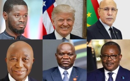 Trump a fait pression sur des dirigeants africains pour qu'ils accueillent des migrants expulsés-sources