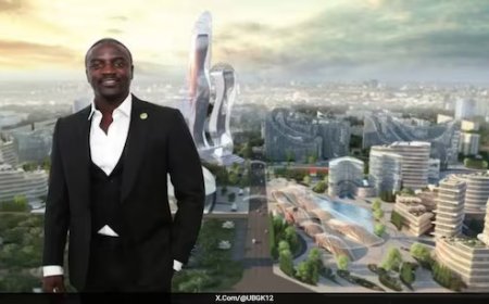 Voici pourquoi le Sénégal abandonne le projet d’Akon de construire une ville futuriste de 6 milliards de dollars