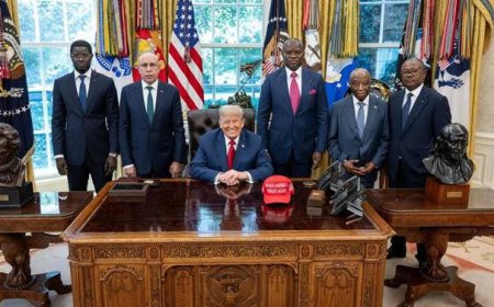 Cinq africains infantilisés par Donald Trump