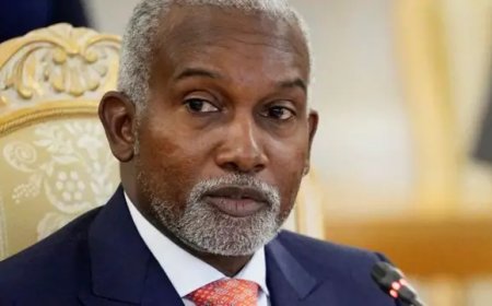 Les Etats-Unis pressent l'Afrique d'accueillir des Vénézuéliens expulsés (MAE nigérian)