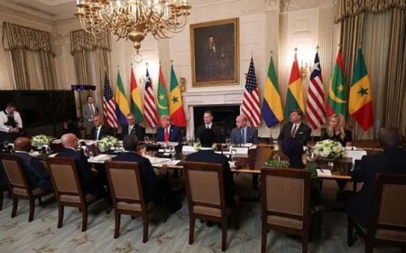 Réunion USA/Afrique À la Maison Blanche : Non, le nom, prénom et le pays d’origine ne suffisent pas !