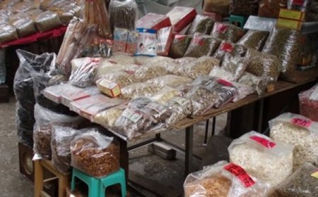 La Médecine Traditionnelle à l’Ère de l’Intelligence Artificielle (IA)