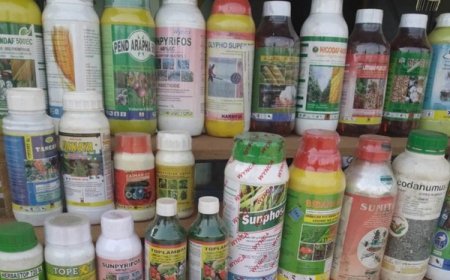 Pesticides : Les impacts négatifs sur notre santé…