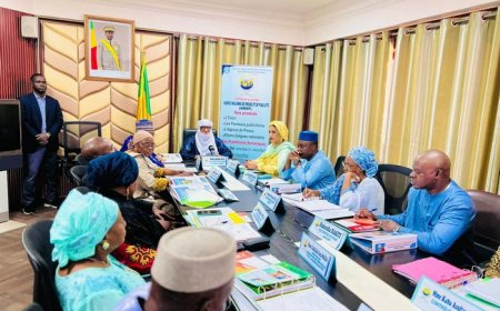 Conseil d'administration de l'AMAP : Les premiers résultats du Plan stratégique 2025-2028 déjà perceptibles Pour un avenir plus ambitieux pour l'information publique malienne