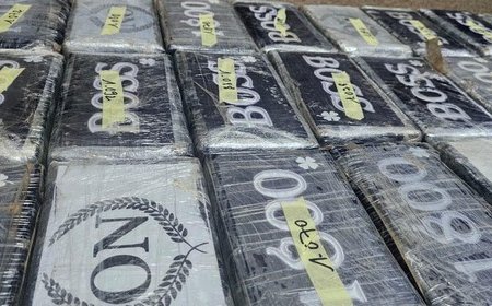 Encore une saisie spectaculaire de la douane : 24 briques de cocaïne en partance vers le Nord interceptées