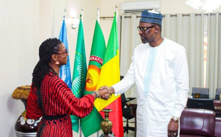 Migration : Le Ministre Abdoulaye Diop s’entretient avec la Directrice régionale de l’OIM à Bamako