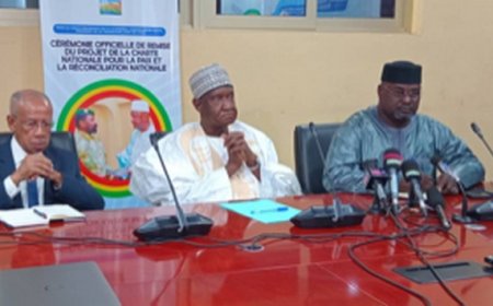 Couverture médiatique de la Restitution du Projet de Charte sur la Paix et la Réconciliation Nationale :  La CRPCPTN renforce les acteurs des médias