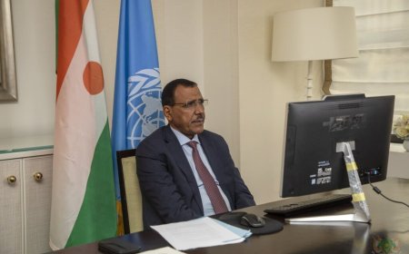 L'Algérie a rejeté le plan français visant à libérer le président déchu Bazoum après le coup d'État au Niger.