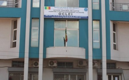 Mohamed Saïdou Sène, membre de l’OCLEI, sur la lutte contre la corruption : « La jeunesse est une force de transformation, un levier de changement… »