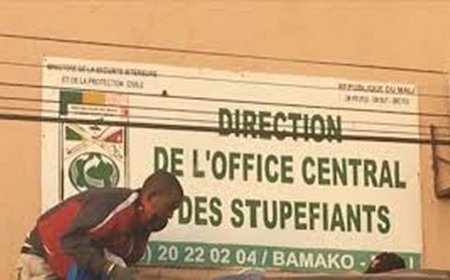 Brèves :  OCS : Non, pas 70 %