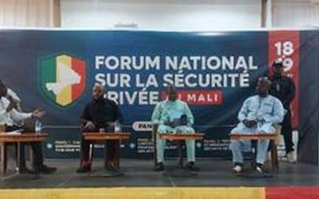 Sécurité privée au Mali : Diagnostic pour mieux structurer