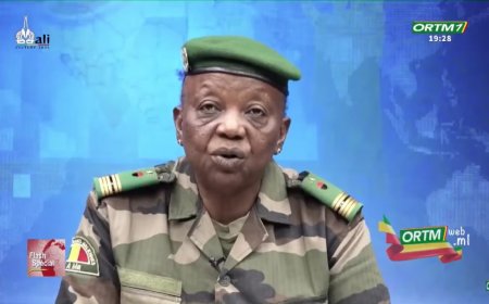 Lutte antiterroriste : les FAMa interceptent une importante cargaison logistique destinée à un groupe armé