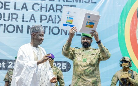 Projet de charte pour la paix et la réconciliation nationale :  Remise solennelle à Assimi