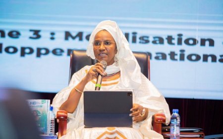 Le MENEFP au forum international de la diaspora :   Un panel pour valoriser le potentiel humain et économique de la diaspora malienne