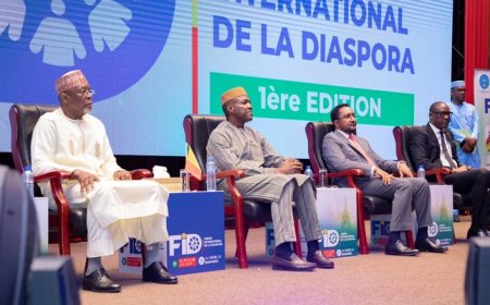 Clôture du Forum International de la Diaspora : La première édition gagne le satisfecit des organisateurs