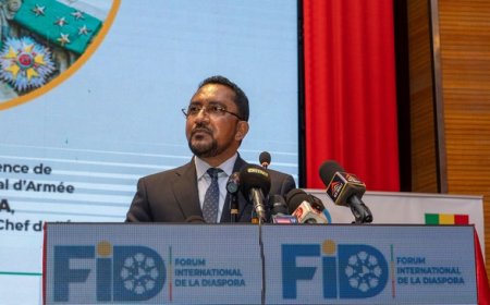 Clôture du Forum International de la Diaspora : La première édition gagne le satisfecit des organisateurs
