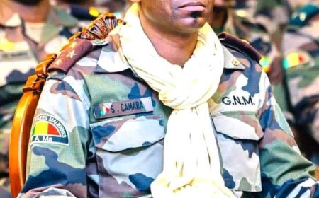 Défense nationale :   Une approche globale et résiliente pour faire face à une guerre hybride