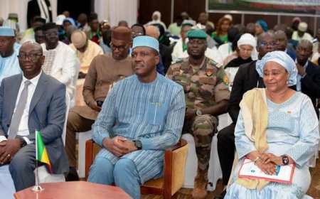 En quête de la souveraineté alimentaire :   Le Mali va investir plus de 47 milliards pour booster un important programme d’irrigation agricole