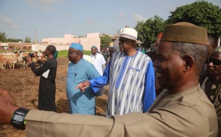 Supervision du Plan de la Campagne Agricole : Youba Ba à la Coopérative Kaoural de Diatoula et Walila SARL